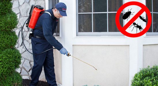 Etimesgut Pire İlaçlama böcek ilaçlama ve haşere kontrolü — ilaclama-tr.com